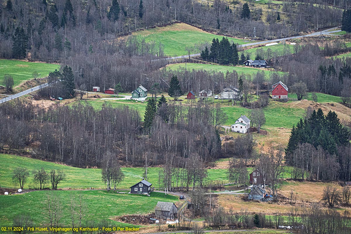 Huset, Vinjahagen og Karihuset