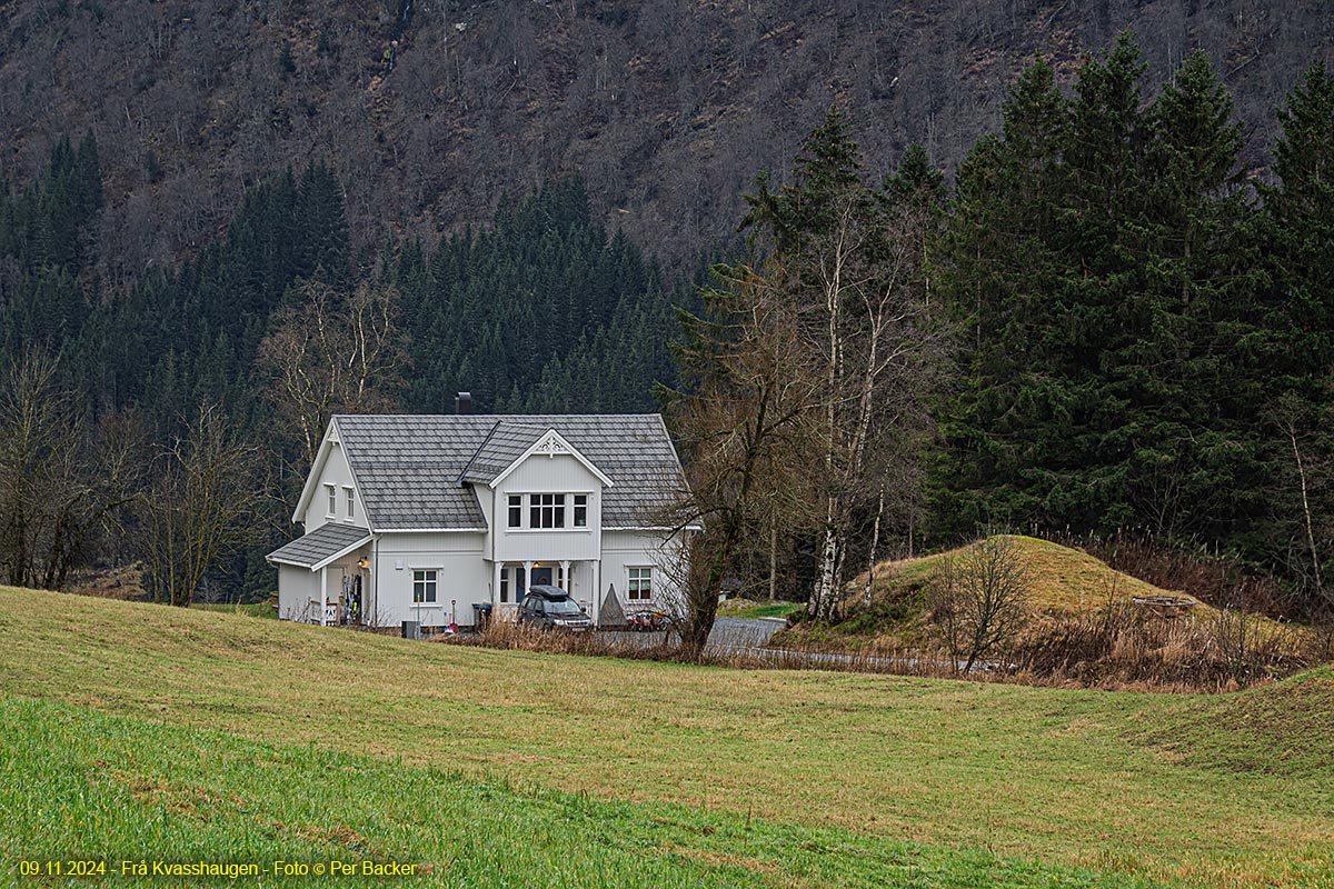 Frå Kvasshaugen