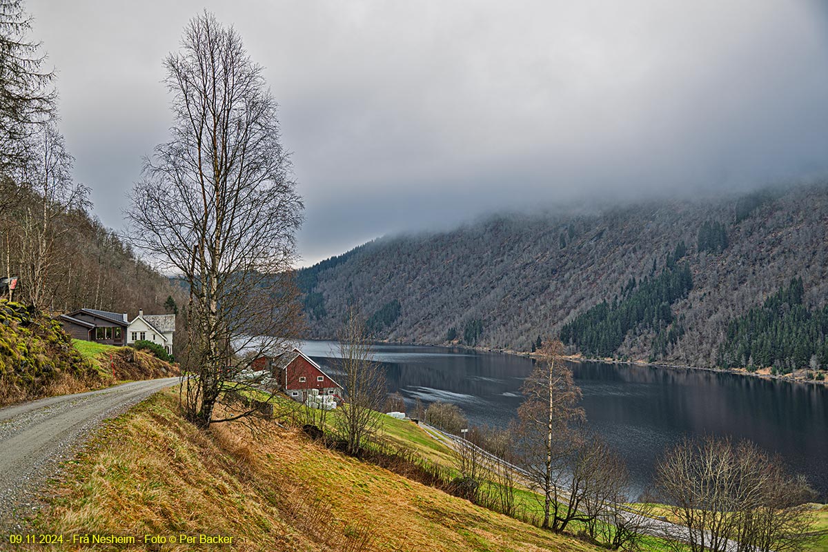 Frå Nesheim