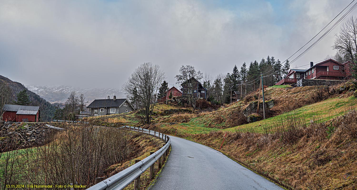 Frå Hommedal