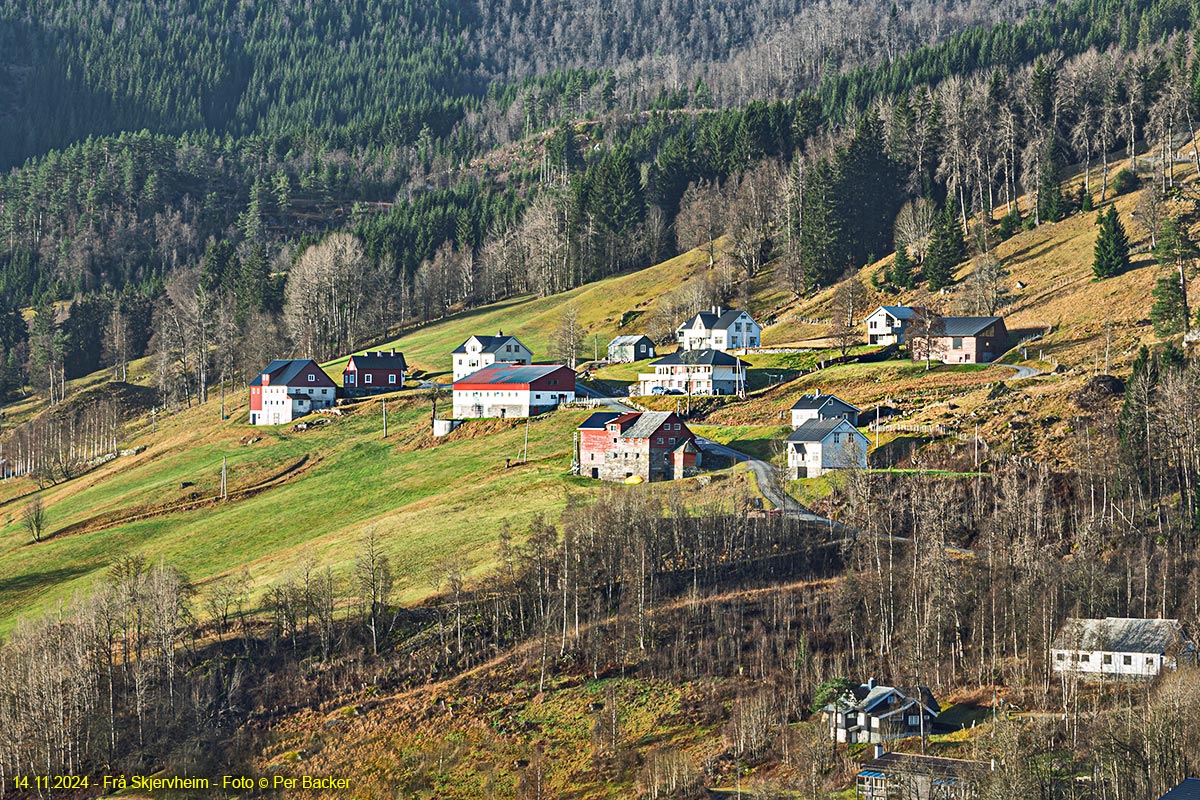 Frå Skjervheim