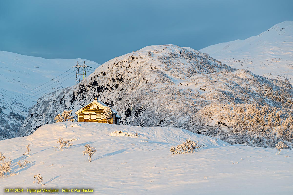 Hytte på Vikafjellet