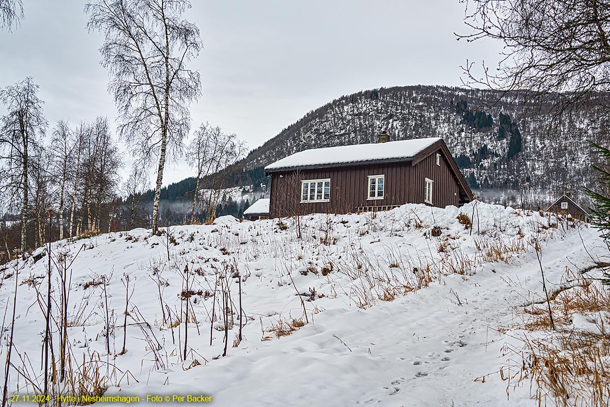 Hytte i Nesheimshagen