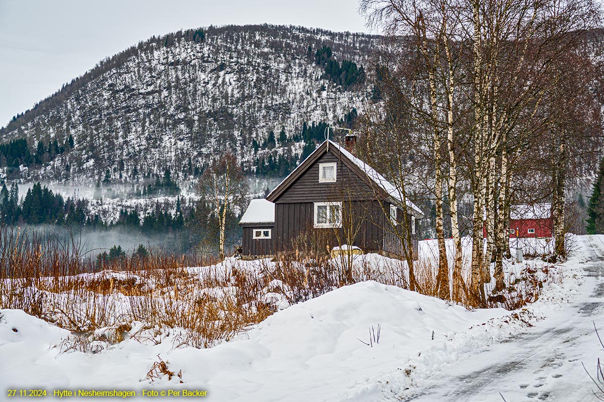 Hytte i Nesheimshagen