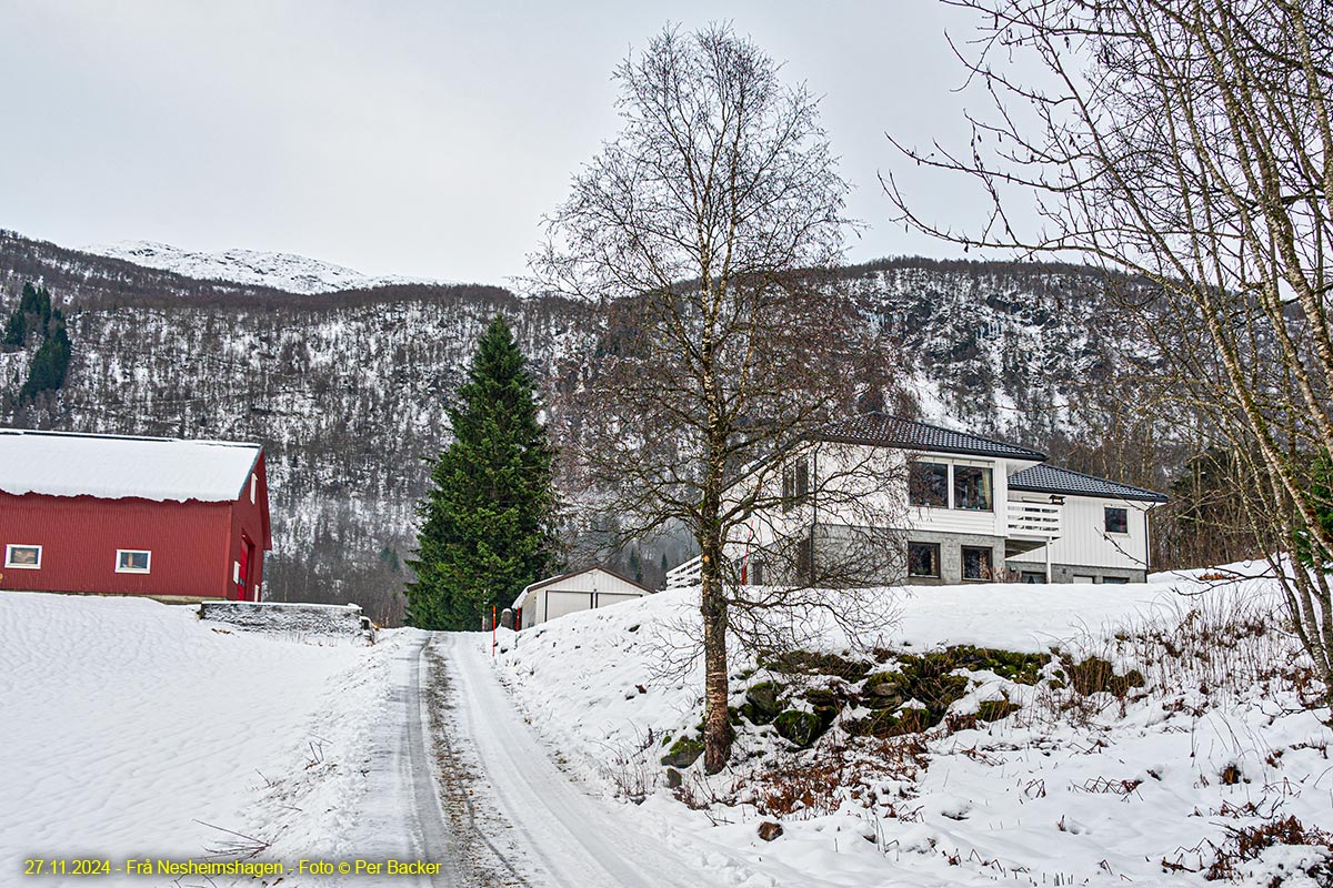 Frå Nesheimshagen