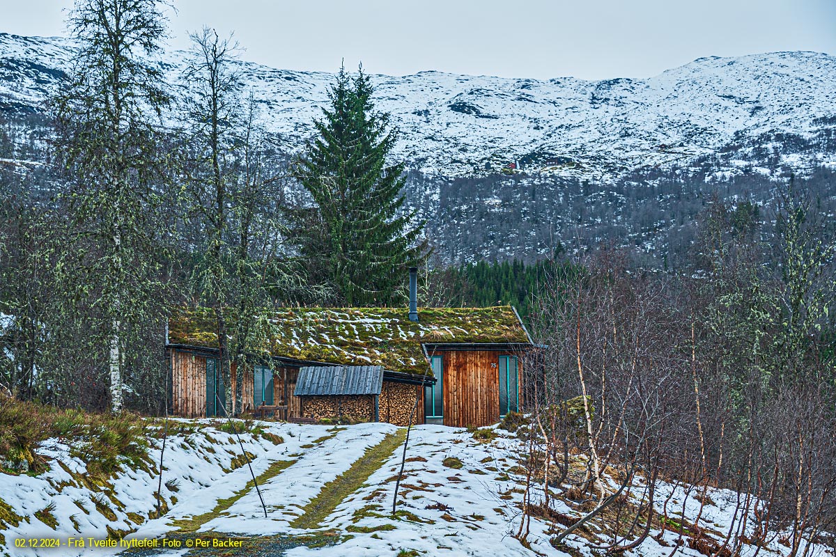 Frå Tveite hyttefelt