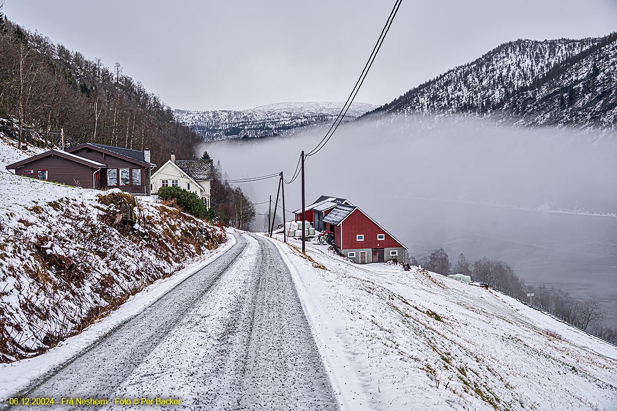 Frå Nesheim