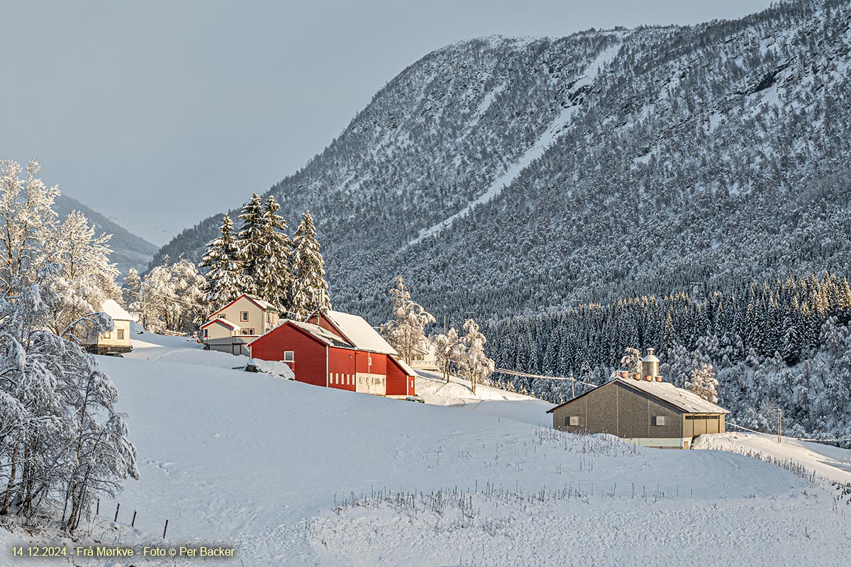 Frå Mørkve