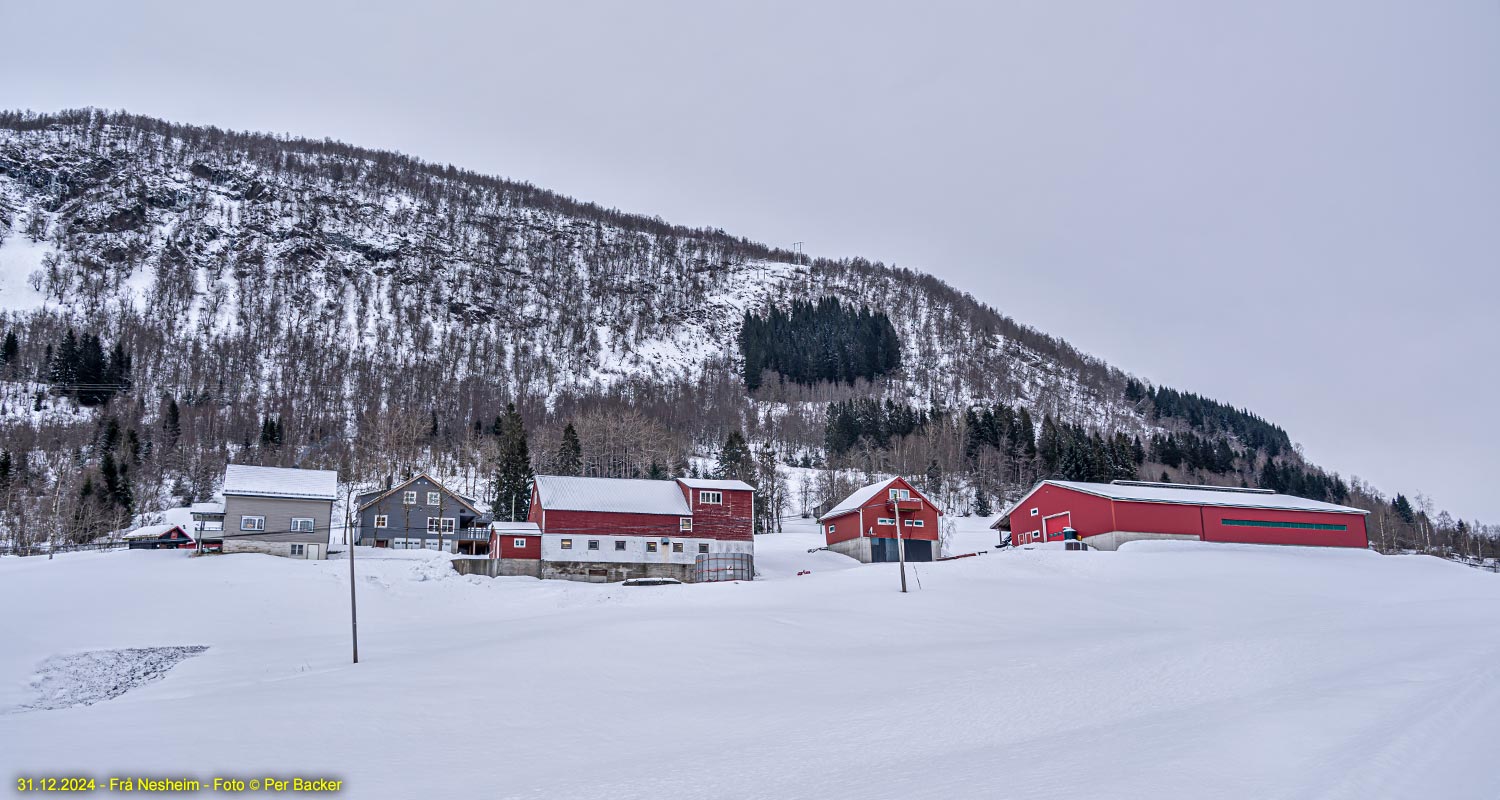 Frå Nesheim