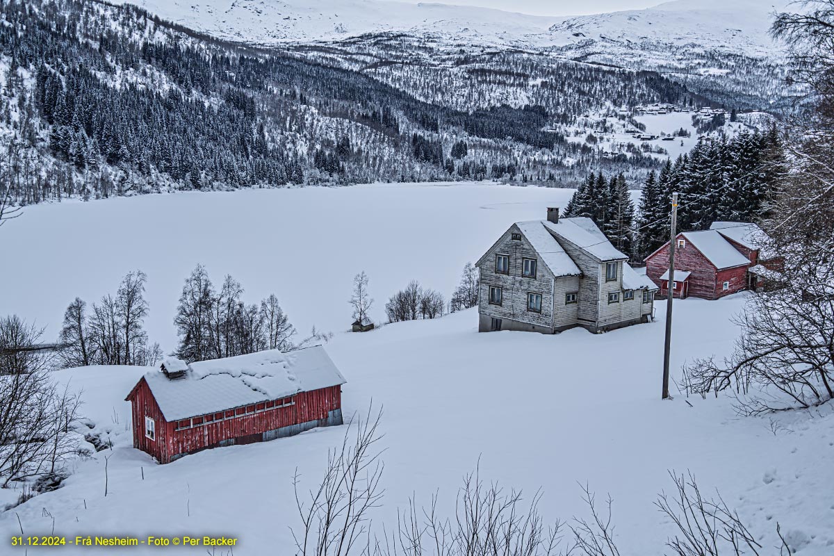 Frå Nesheim