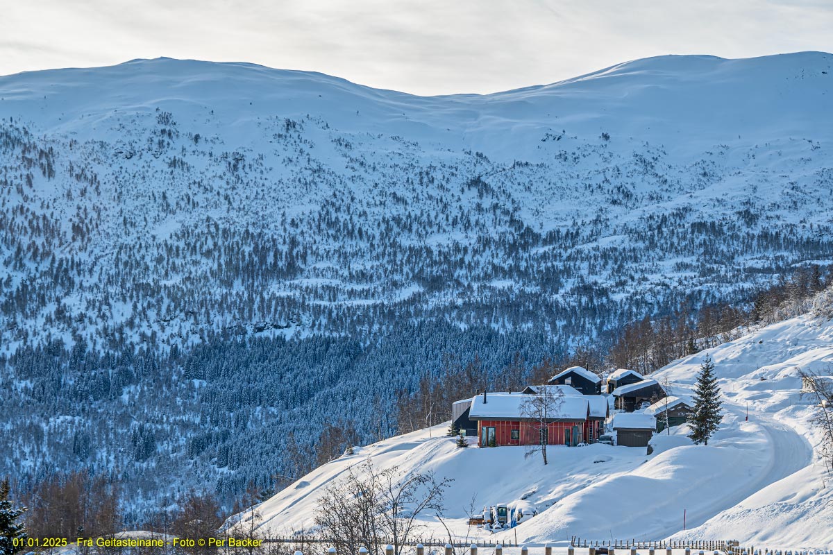 Frå Geitasteinane