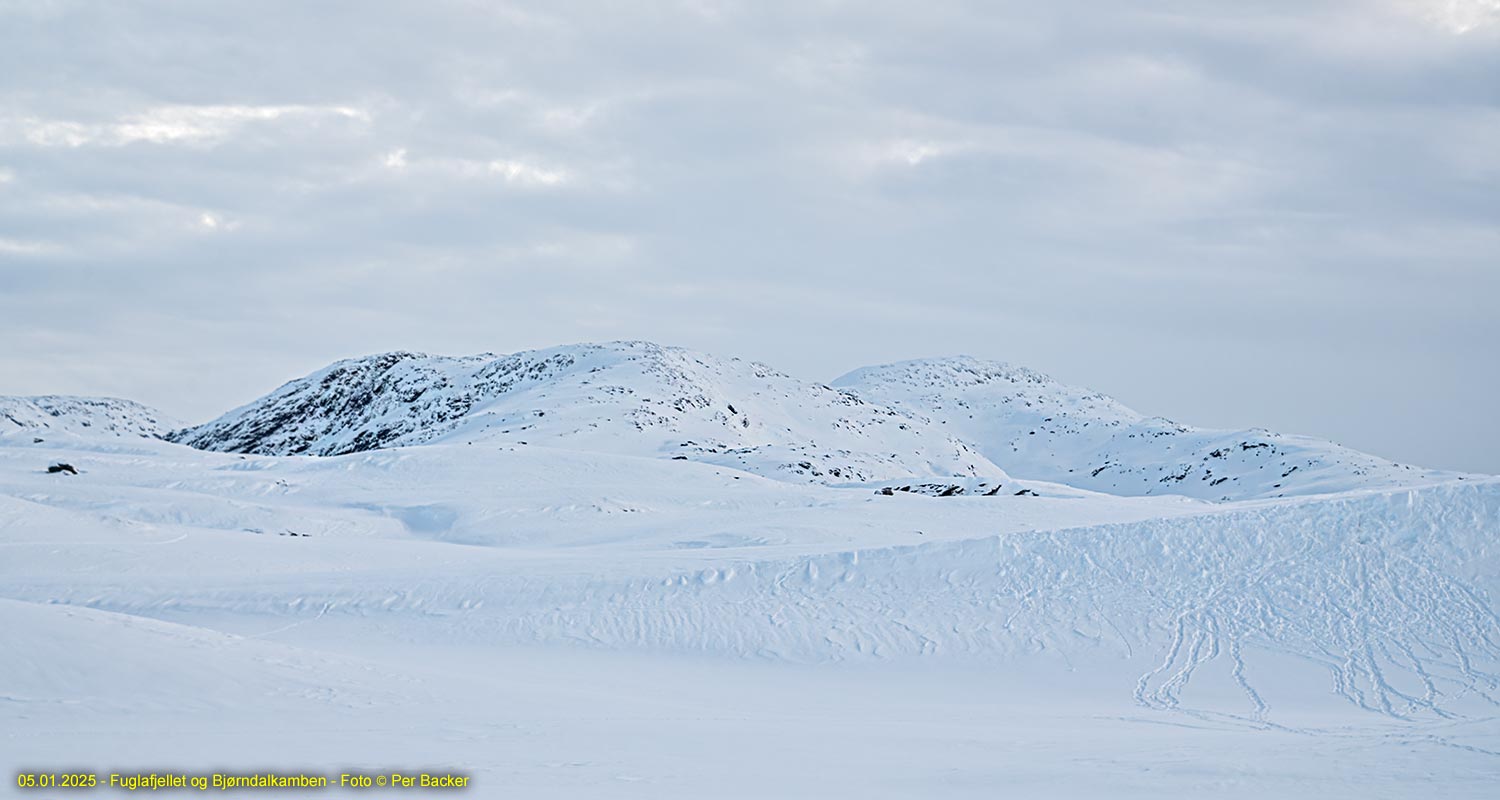 Fuglafjellet og Bjørndalskamben
