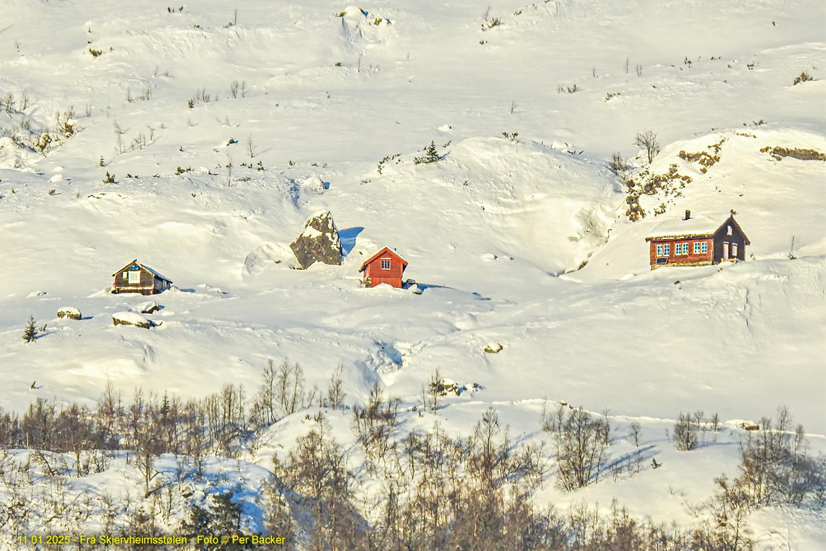 Frå Skjervheimsstølen