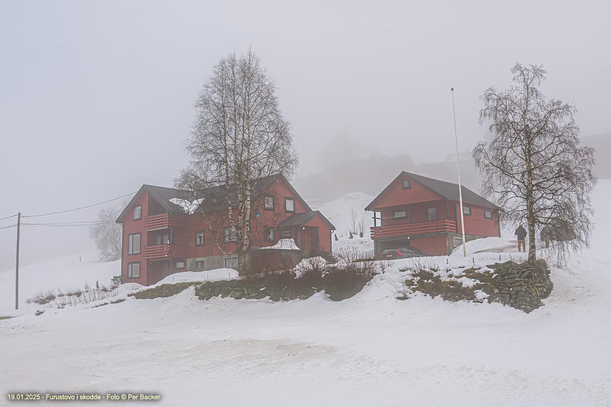 Furustovo i skodde