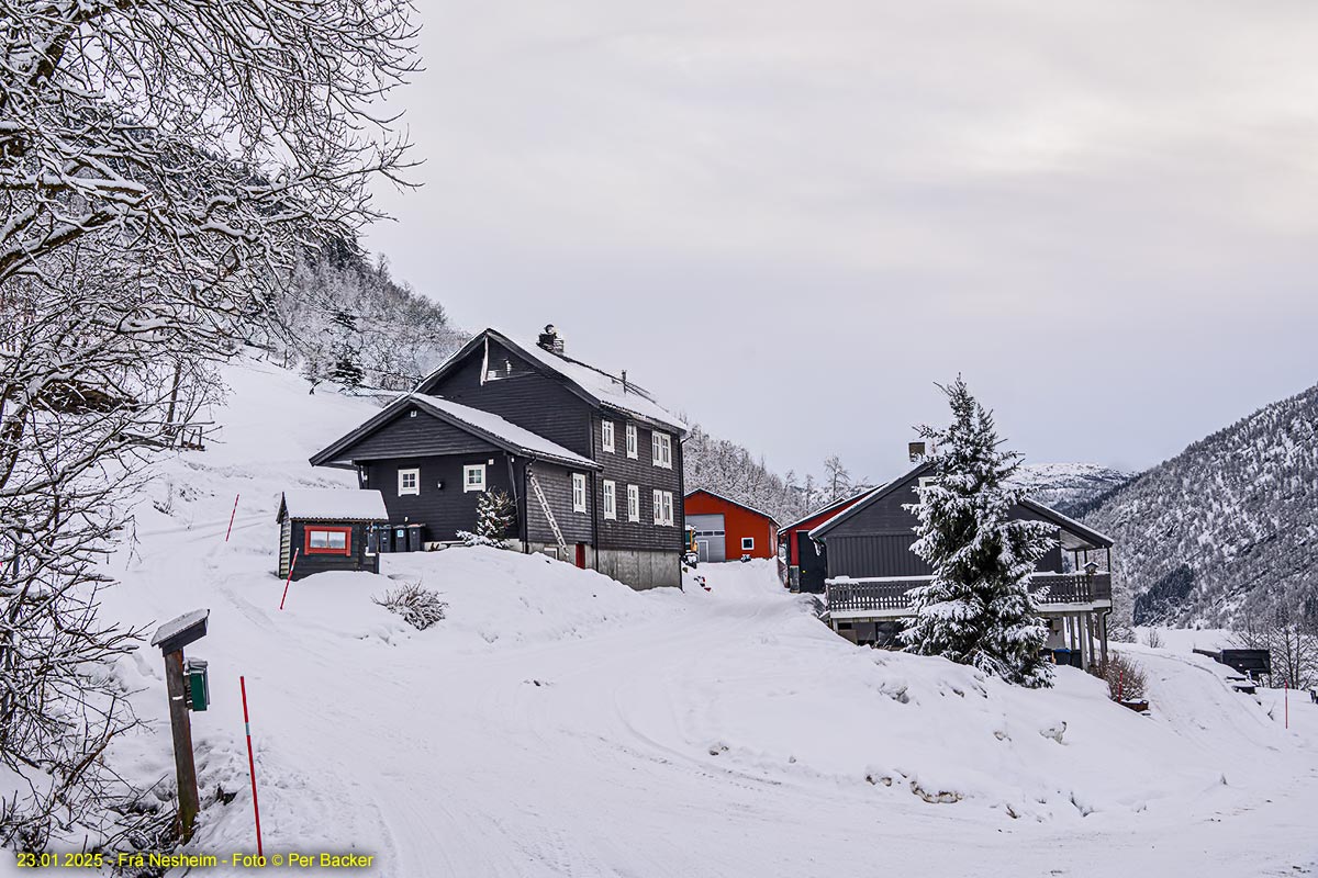 Frå Nesheim