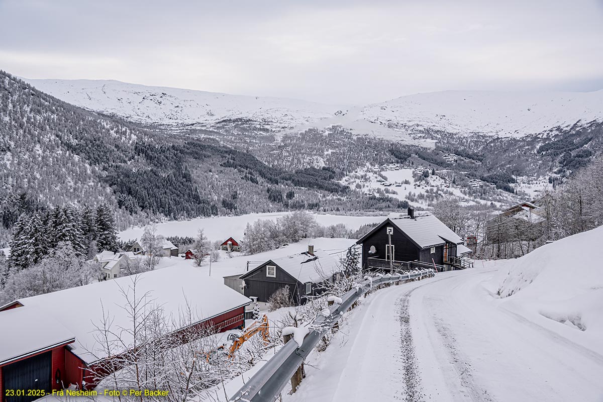 Frå Nesheim