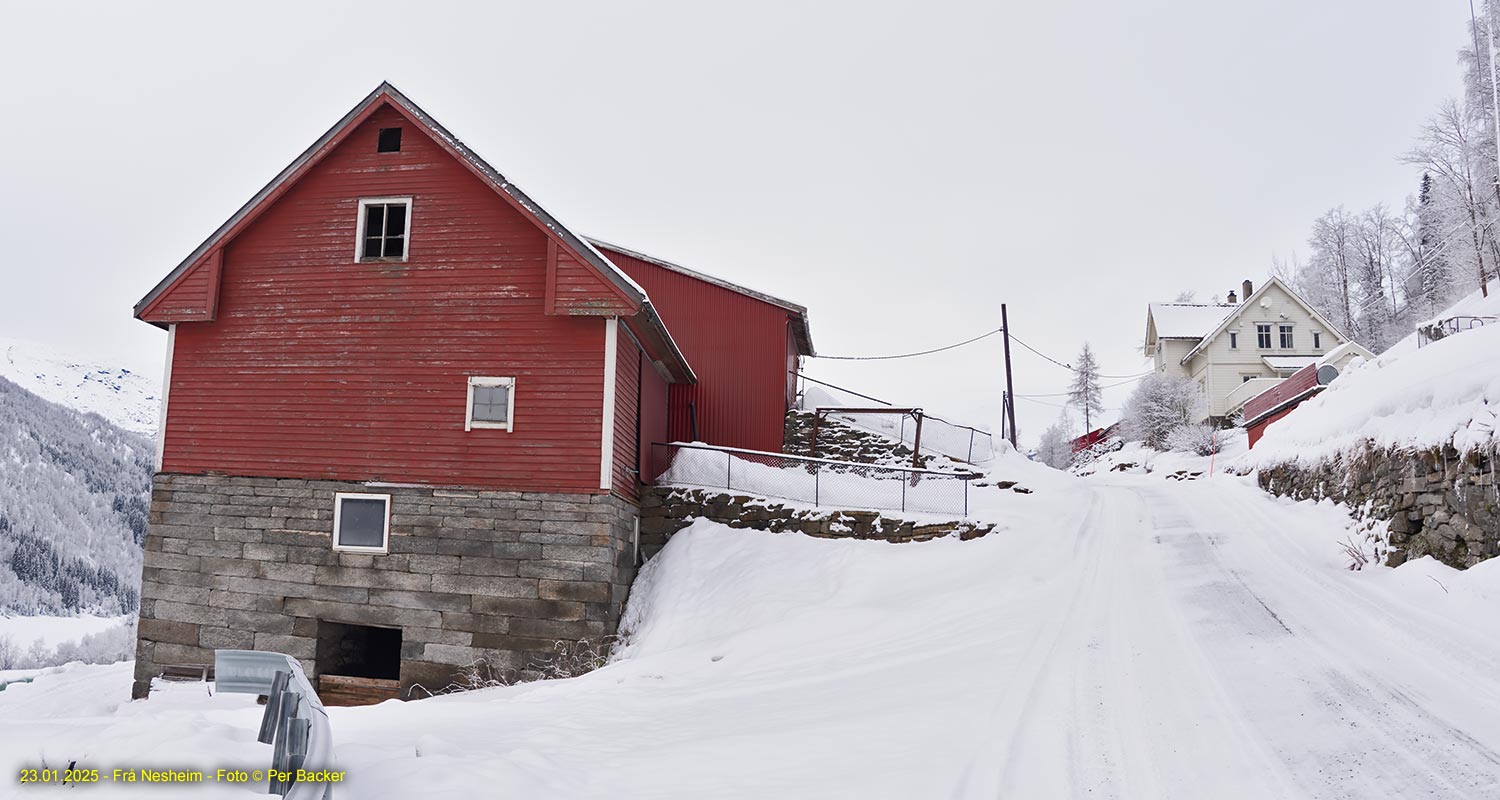 Frå Nesheim