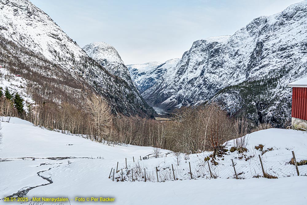Mot Nærøydalen