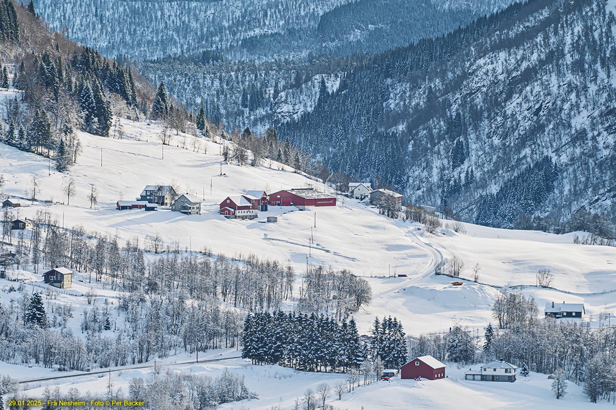 Frå Nesheim