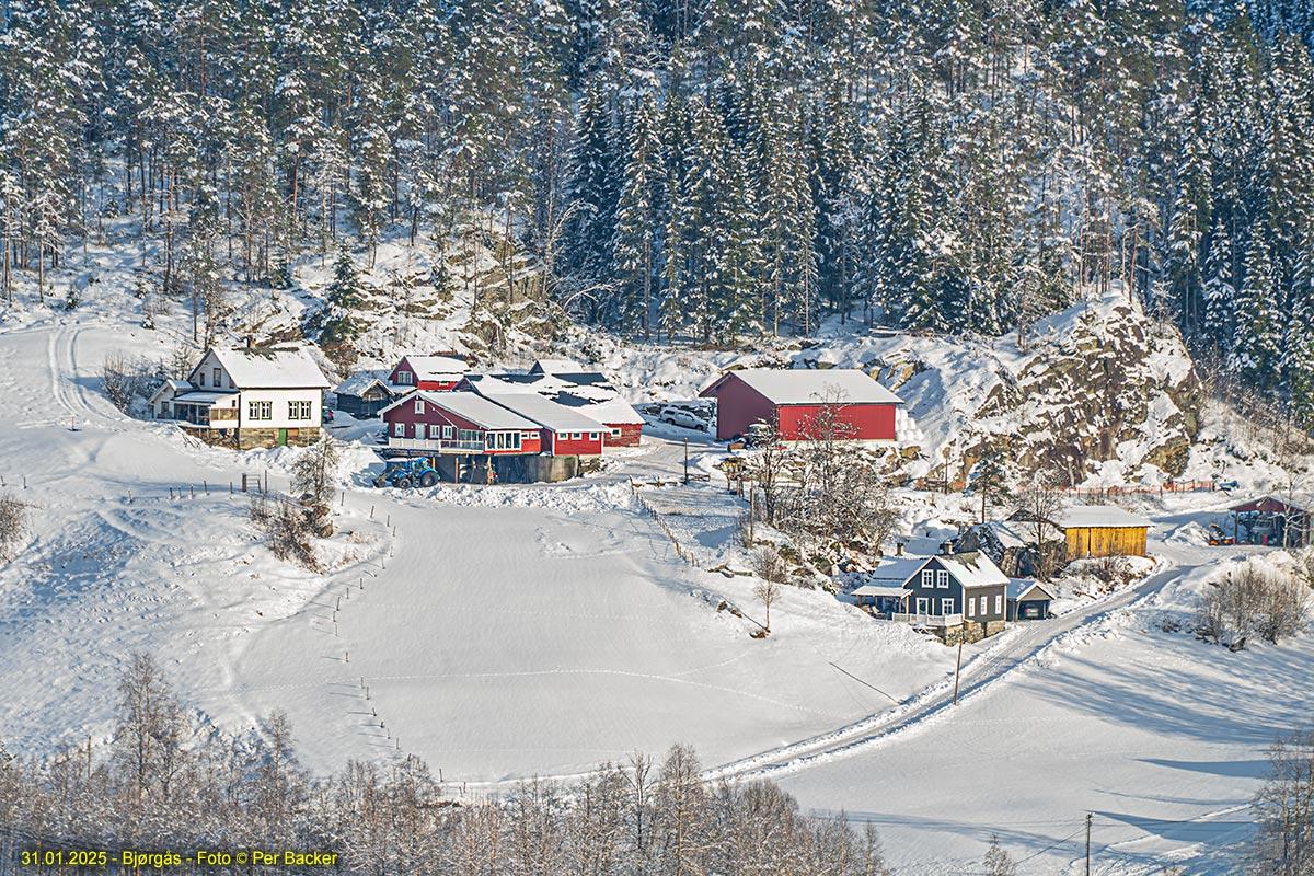Bjørgås