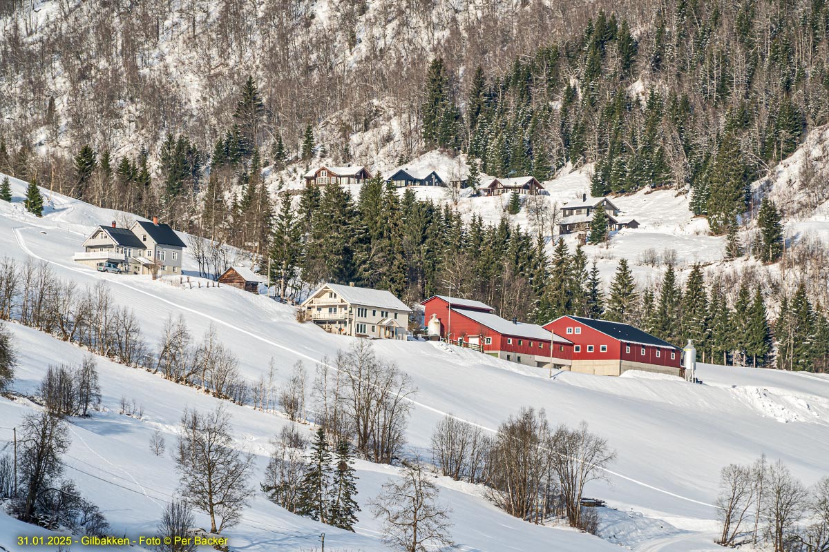 Gilbakken