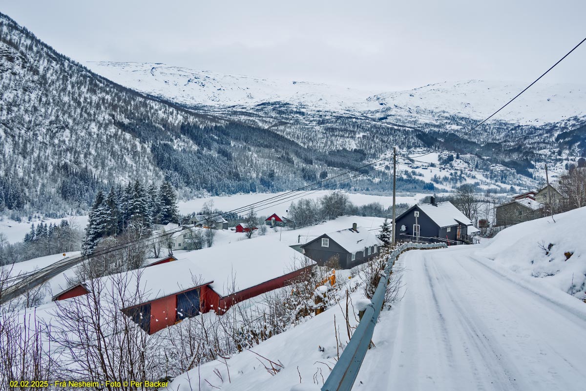 Frå Nesheim