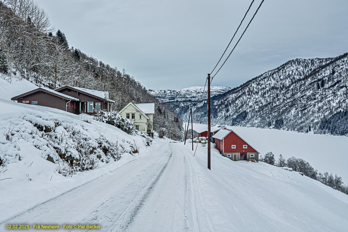 Frå Nesheim