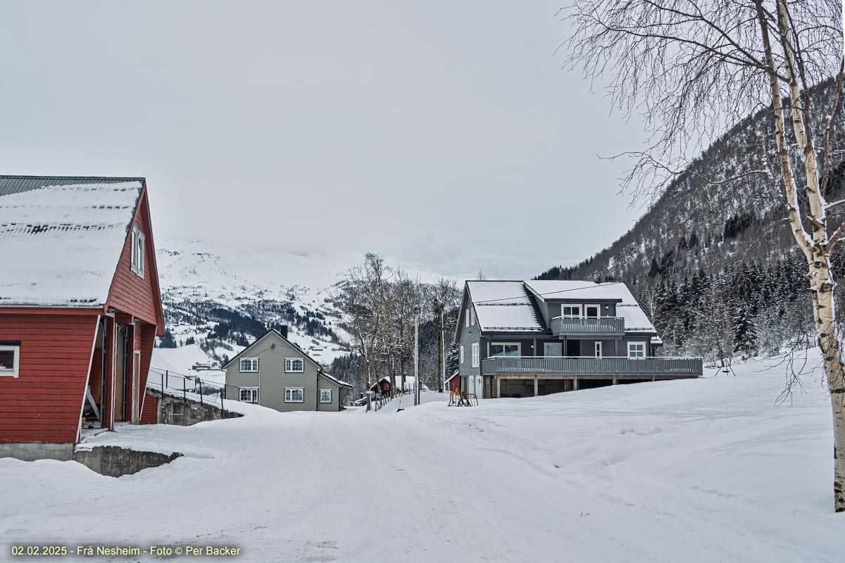 Frå Nesheim