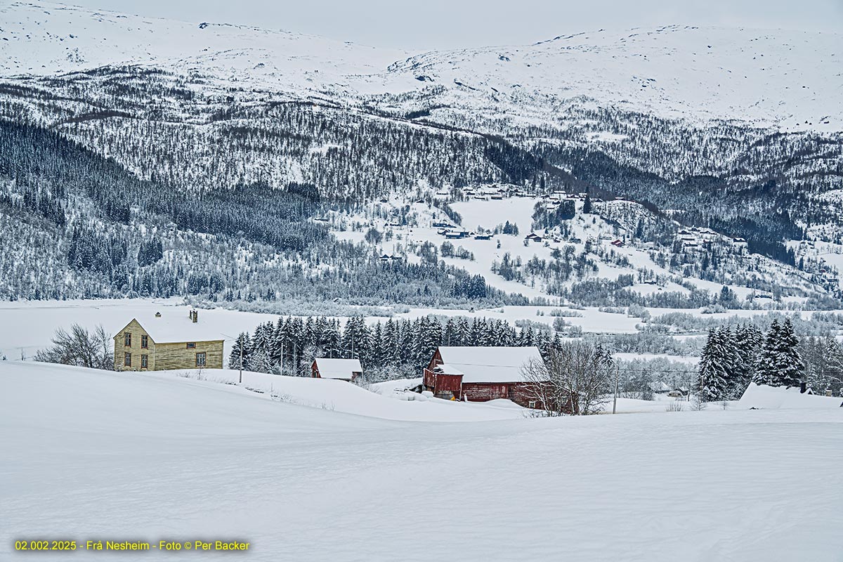 Frå Nesheim