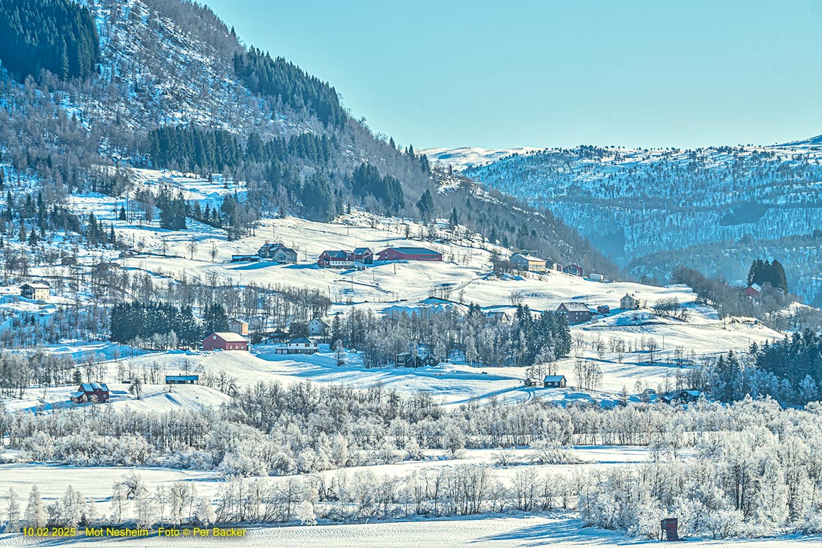 Frå Nesheim