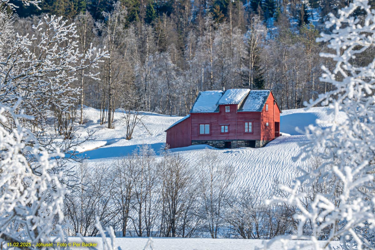 Johuset
