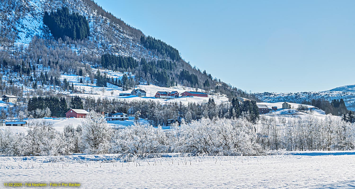 Frå Nesheim