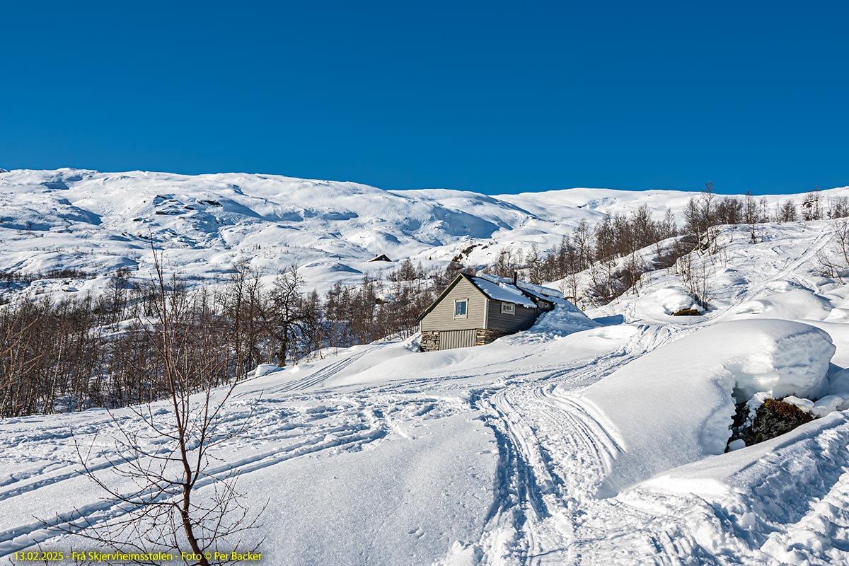 Frå Skjervheimsstølen
