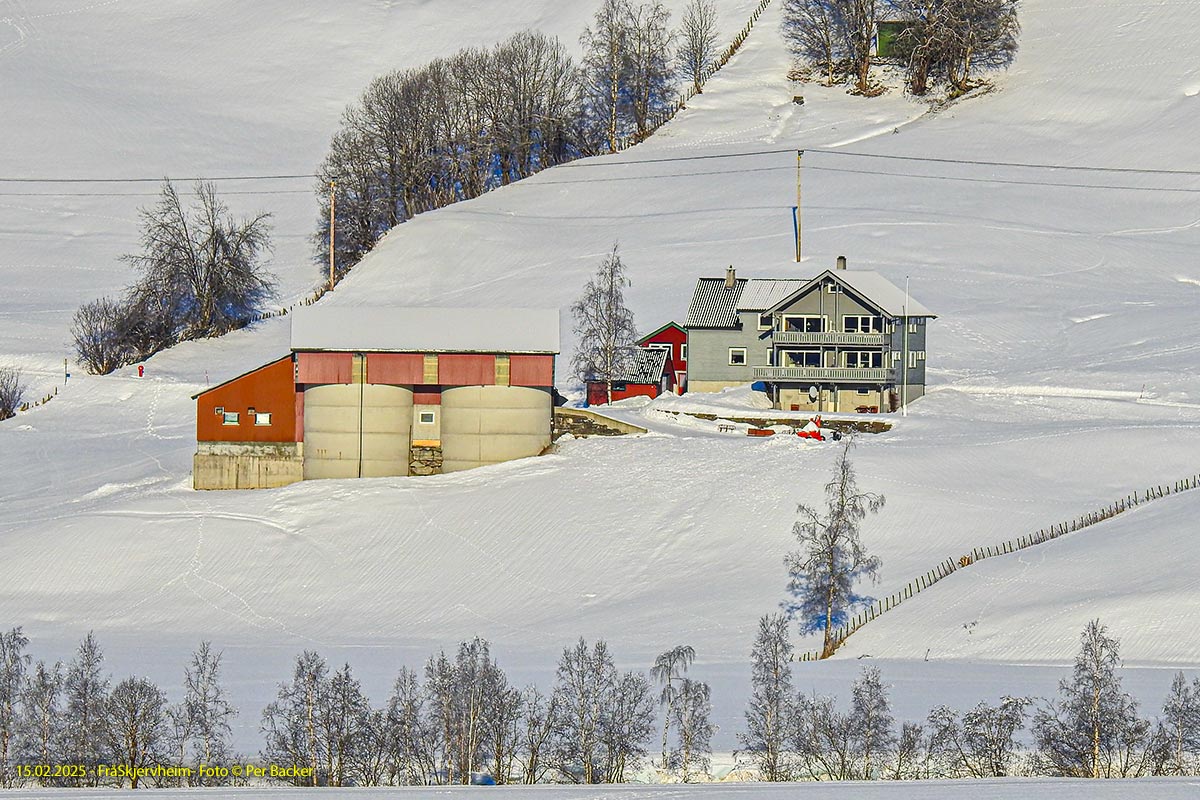 Frå Skjervheim