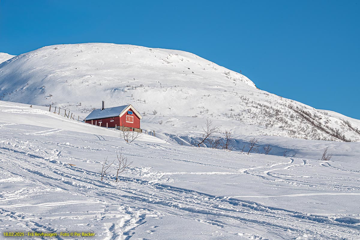 Frå Revhaugen