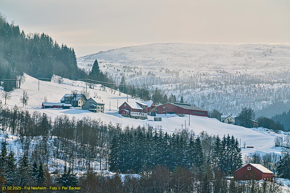 Frå Nesheim