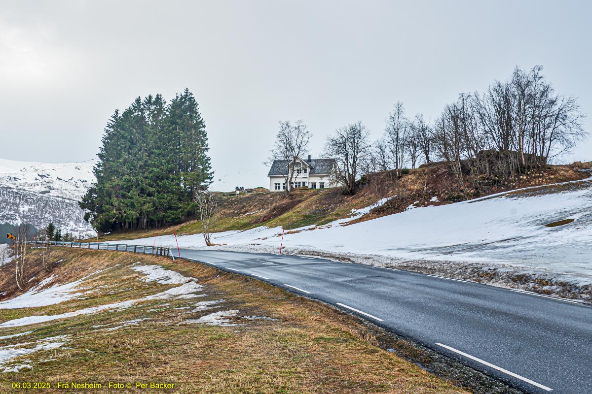 Frå Nesheim