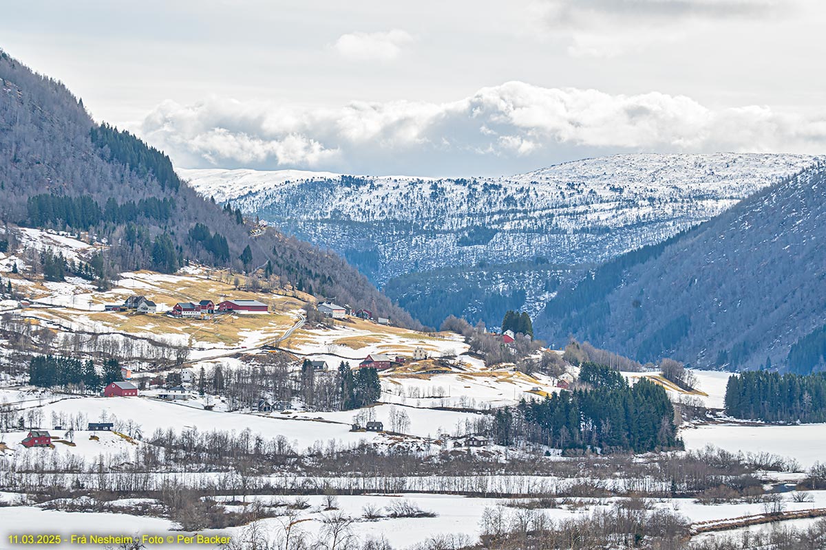Frå Nesheim