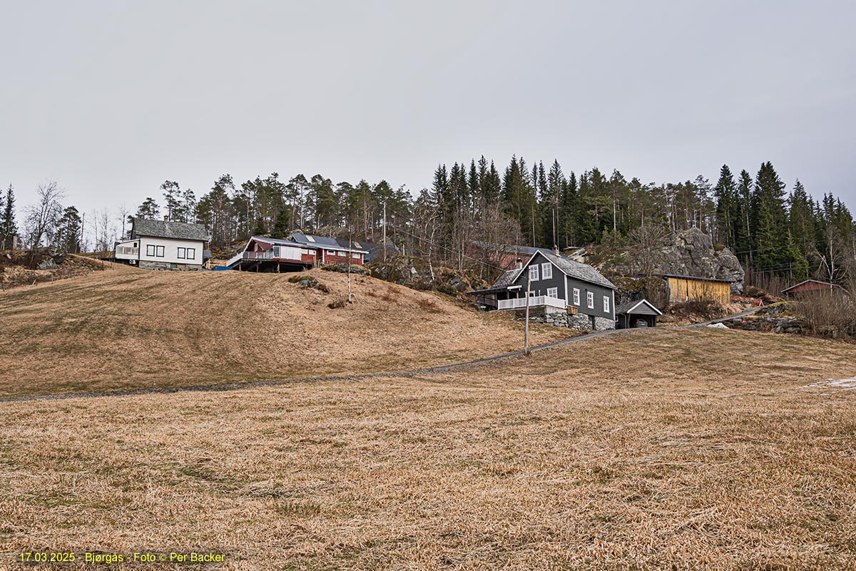 Bjørgåss