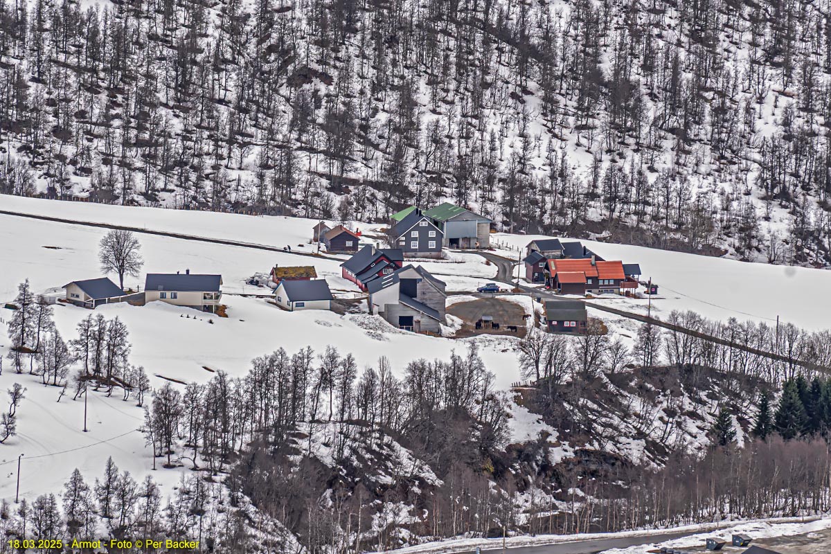 Årmot