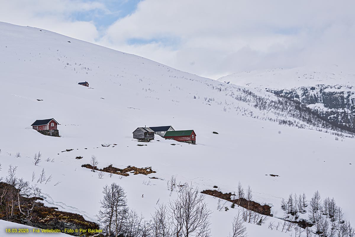 Frå Vetlebotn