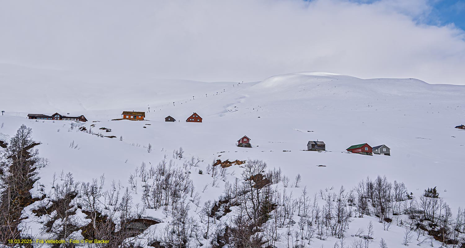 Frå Vetlebotn