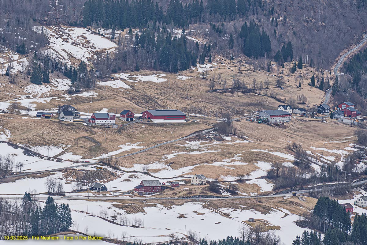 Frå Nesheim