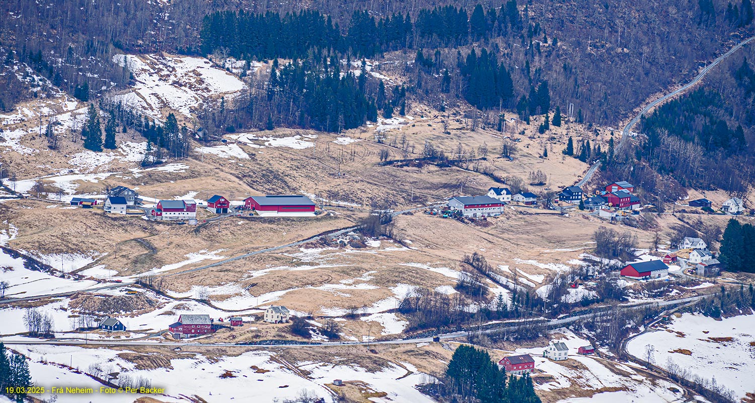 Frå Nesheim