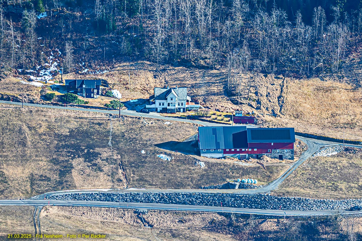 Frå Nesheim