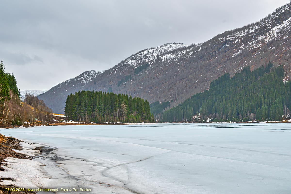 Kvasshauganeset