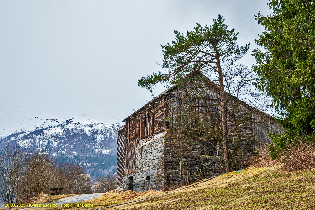 Kvasshaugaløo