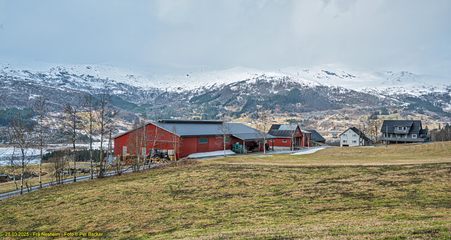 Frå Nesheim