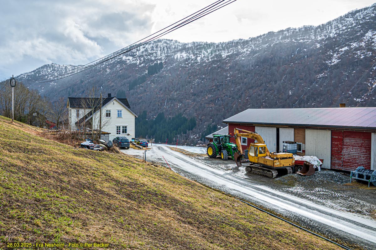 Frå Nesheim