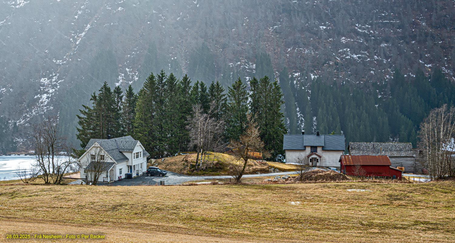 Frå Nesheim